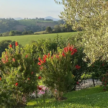 Ama Lur Maison d'hôtes