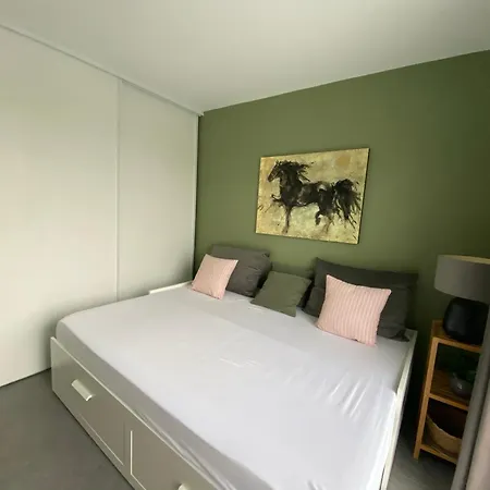 Ama Lur Guest house *