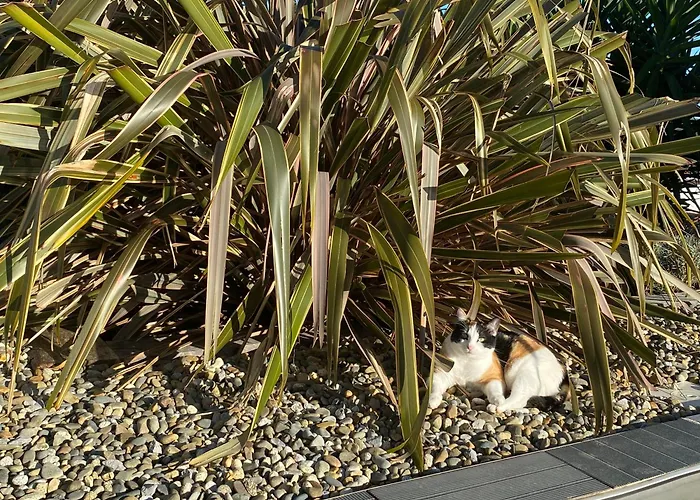 Gasthof Ama Lur Hasparren